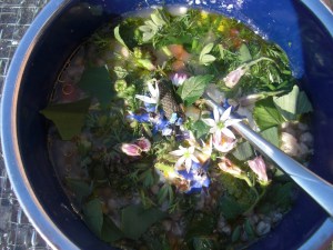 Getreide mit Kräutern